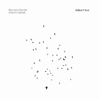 Sbatax by Bertrand Denzler