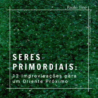 Seres Primordiais: 12 Improvisações para um Oriente Próximo by Paulo Tiné