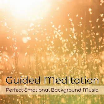 Guided Meditation Perfect Emotional Background Music by Swami Drishti Tratakauram