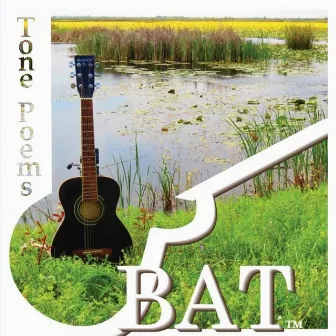 Tone Poems by BAT