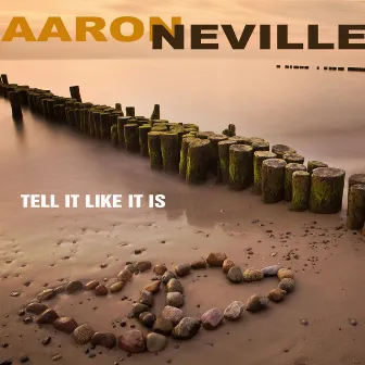 Tell It Like It Is by Aaron Neville