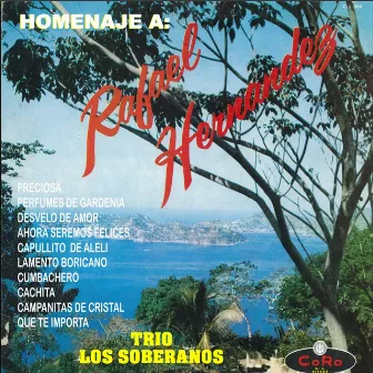 Homenaje a Rafael Hernandez Trio los Soberanos by Los Soberanos