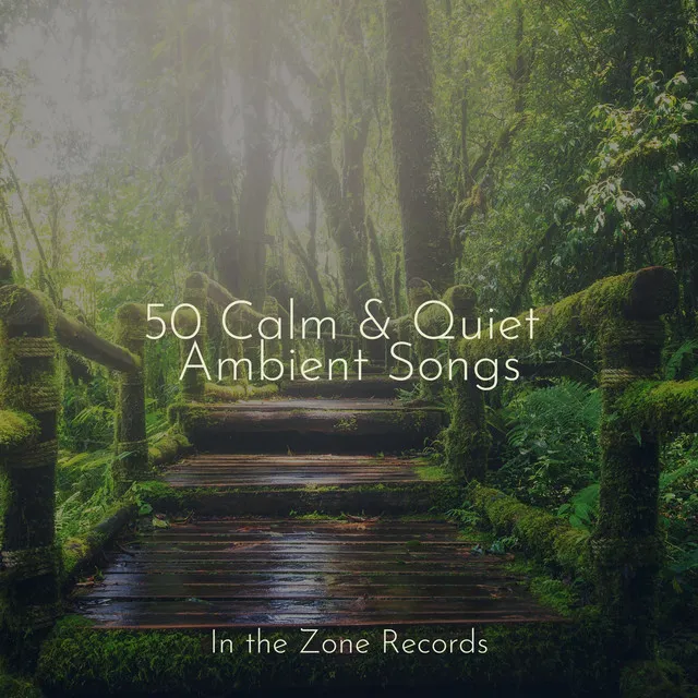 50 Calm & Quiet Ambient Songs