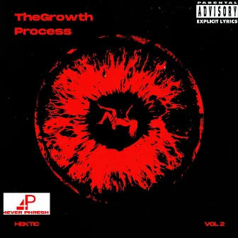 The Growth Process, Vol. 2 by Hektic