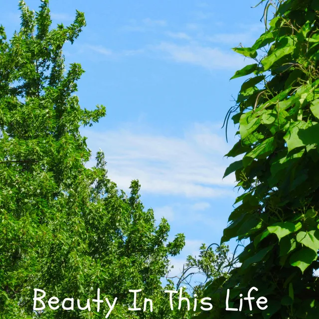 beauty in this life - Sped up