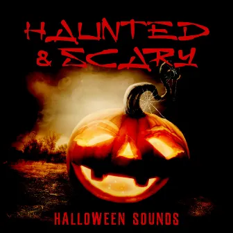 Haunted & Scary Halloween Sounds: Best Halloween Party Collection 2022, Horror & Creepy Effects by Unknown Artist