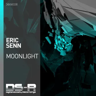 Moonlight by Eric Senn