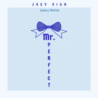 Mr. Perfect (Jusslu Remix) by Joey Sigh