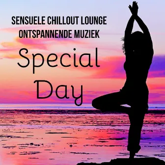 Special Day - Sensuele Chillout Lounge Ontspannende Muziek voor Helende Massage Eenvoudige Yoga Oefeningen en Meditatie Retraite by Unknown Artist