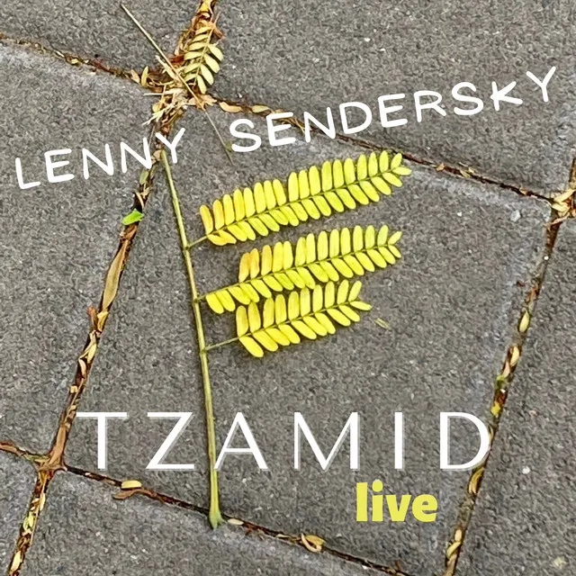 Tzamid (Live)