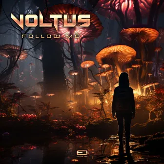 Follow Me by Voltus