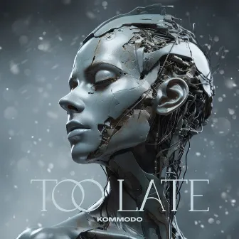 Too Late by Kommodo