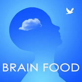 Brain Food – Soft Relaxing Music to Help Your Concentration and Focus, Sound Therapy to Increase the Power of the Mind and Concentrate by Unknown Artist