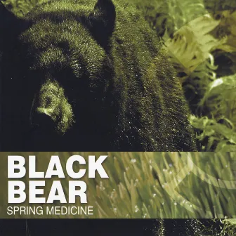 Spring Medicine by Black Bear