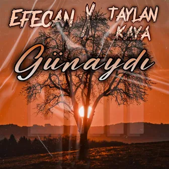 GÜNAYDI by Taylan Kaya