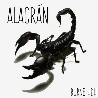 Alacrán by Burne HDH