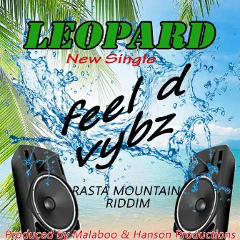 Feeling the Vibe by Leopard