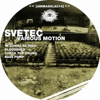 Various Motion by Svetec