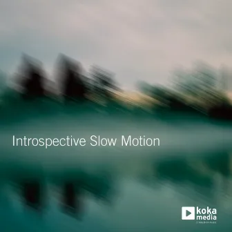 Introspective Slow Motion by Théo Boulenger