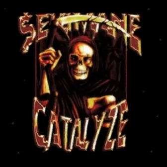 CATALYZE by SEKIMANE