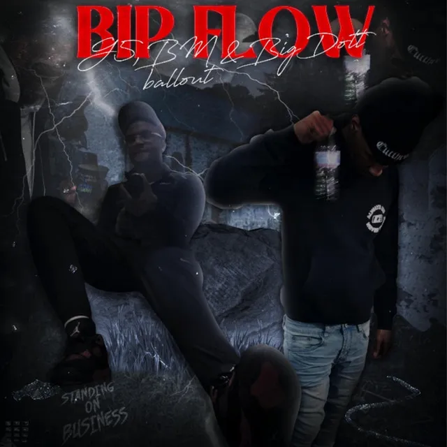 Bip Flow