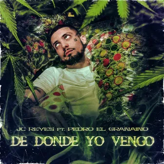 De donde yo vengo by Pedro El Granaino