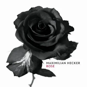 Rose by Maximilian Hecker