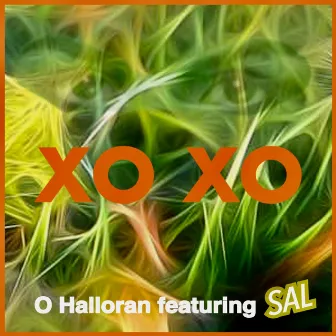 XOXO (feat. Sal) by O Halloran