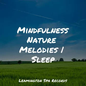 Mindfulness Nature Melodies | Sleep by Thunder Storms & Rain Sounds