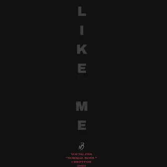 Like Me by Young Jnb