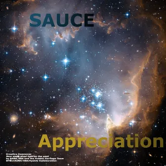 Appreciation by Sauce