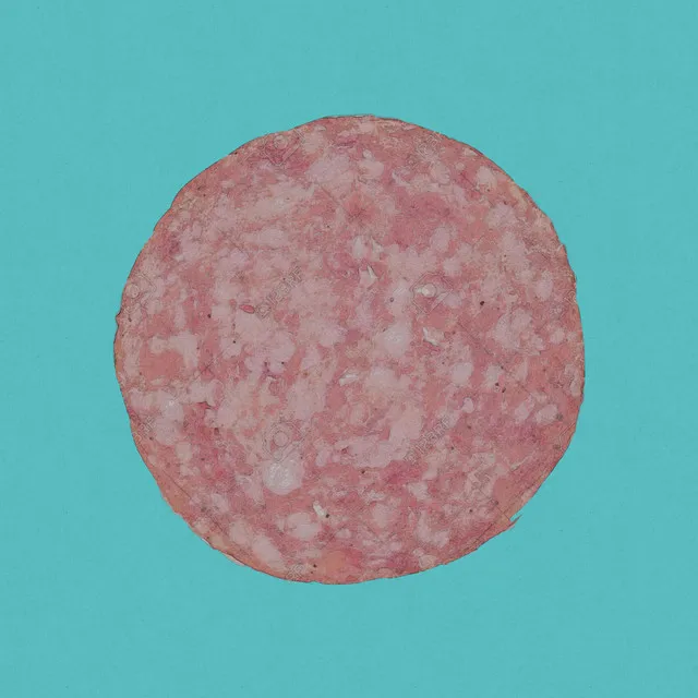 SALAMI