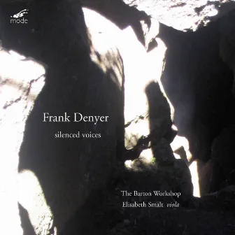 Frank Denyer: Silenced Voices by Frank Denyer