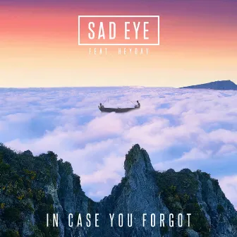 In Case You Forgot by Sad Eye