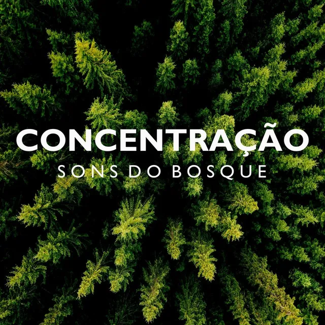 Música de concentración profunda