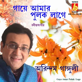 Gaye Amar Pulak Lage by Arindam Ganguly