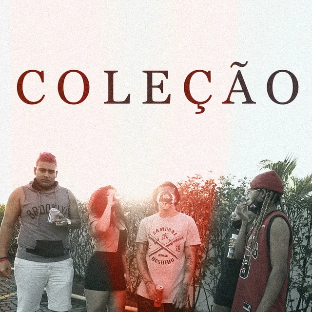 Coleção