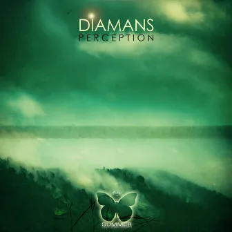 Perception by Diamans