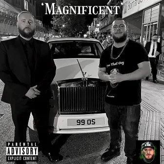 Magnificent by Mr Haz