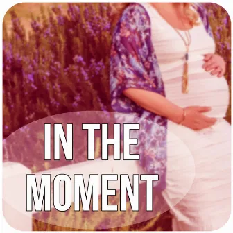 In the Moment - Guided Meditations for Conception and Pregnancy, Hypnosis for Mom and Baby, Nature Sounds for Pregnancy and Birth by Pregnancy Yoga Music Zone