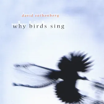 Why Birds Sing by David Rothenberg