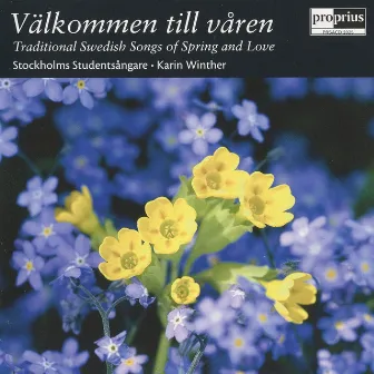 Välkommen till våren by Unknown Artist