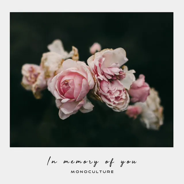 In Memory of You