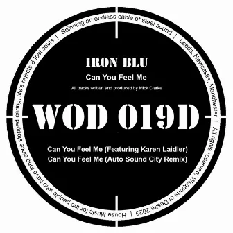 Can You Feel Me by Iron Blu