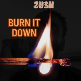 Burn It Down by Zush