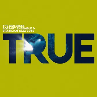 True by Brazilian Jazz Cuts