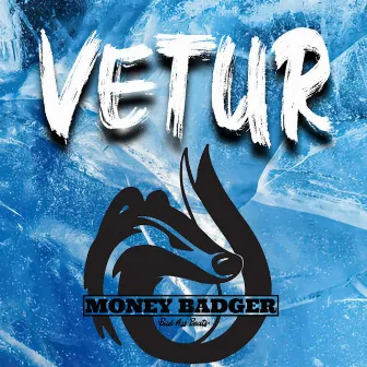 VETUR by MONEY BADGER