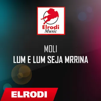 Lum e lum seja mrrina by Unknown Artist