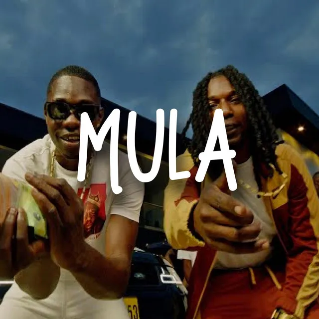 Mula