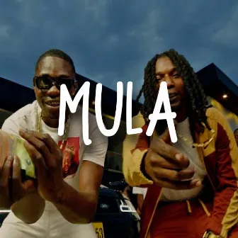 Mula by Lil Young